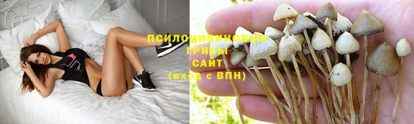 спайс Медногорск