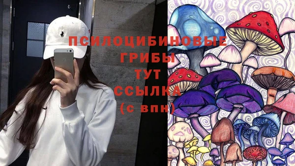 спайс Медногорск
