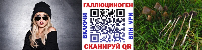 blacksprut рабочий сайт  маркетплейс Telegram  Псилоцибиновые грибы Psilocybe  Черноголовка 