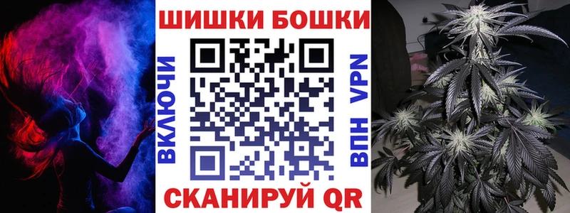 Бошки Шишки семена  купить  сайты  Черноголовка 
